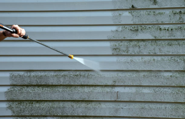 Best House Pressure Washing  in Lovell, WY